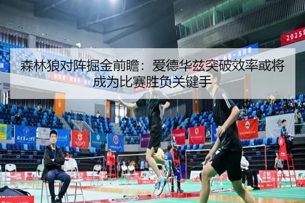 森林狼对阵掘金前瞻：爱德华兹突破效率或将成为比赛胜负关键手